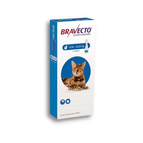 pipeta antiparasitaria bravecto gatos 250 mg